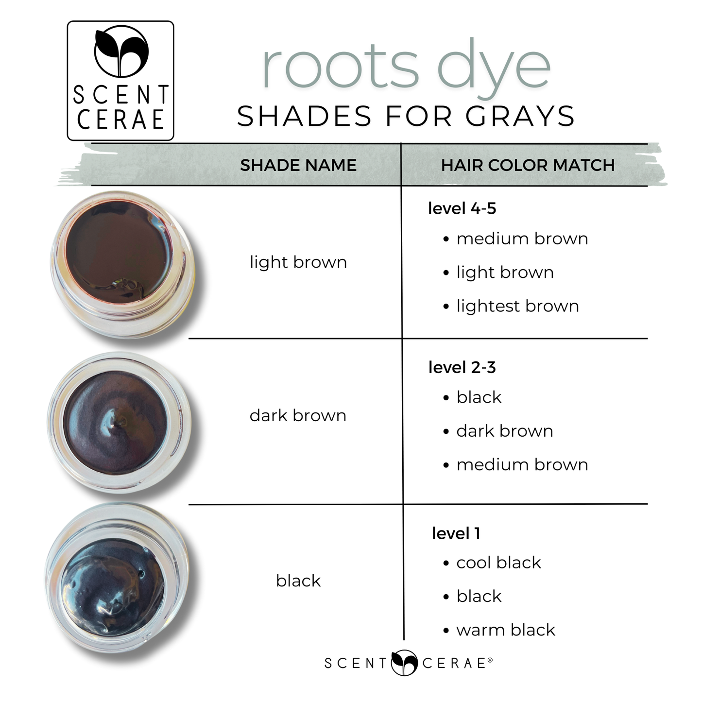 Roots Natural Gray Hair Touch-Up – Chemical-Free, Odorless, Travel-Friendly Zero Waste Dye for Dark Hair
