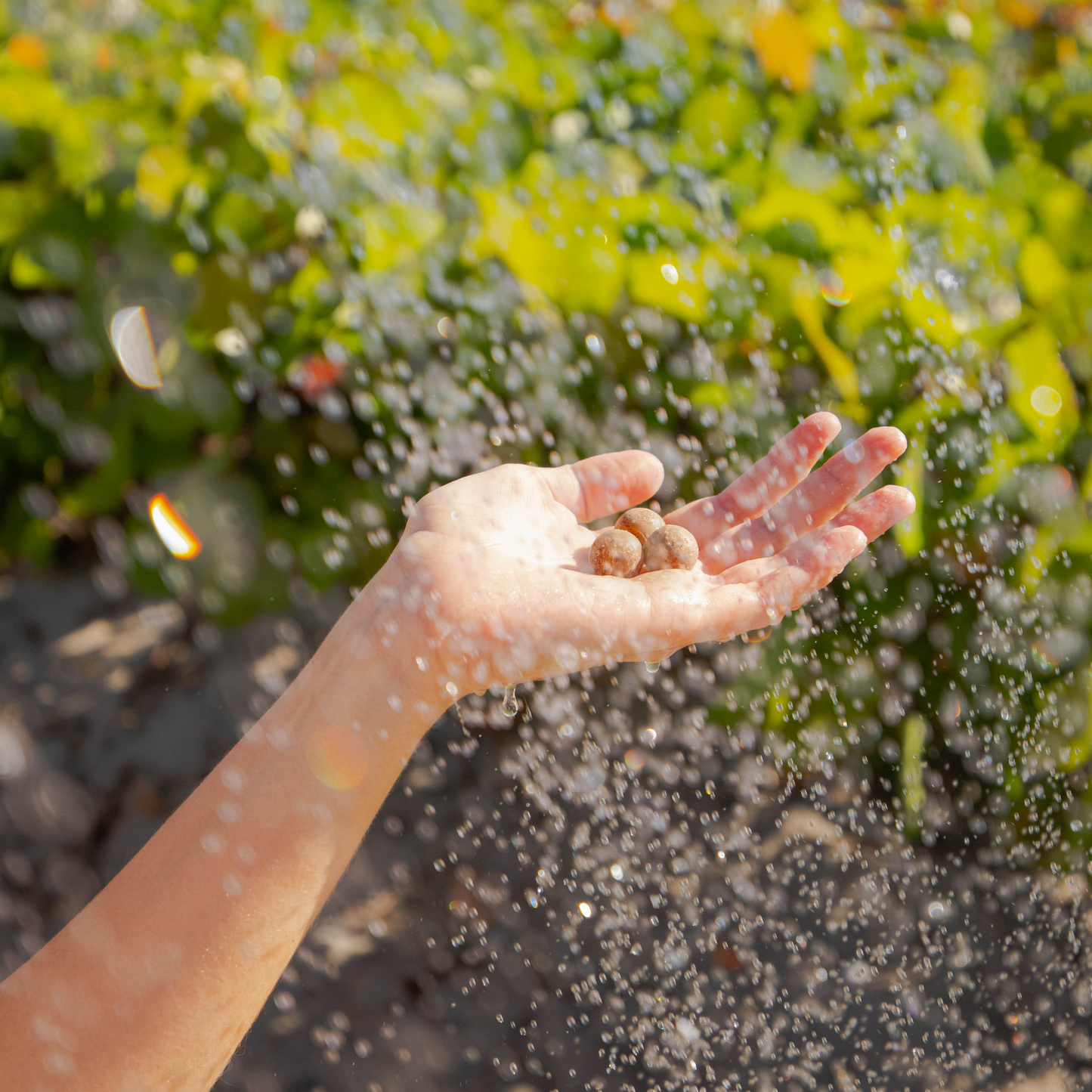 Clay & Shea Shower Drops – Zero Waste Face & Body Cleanser