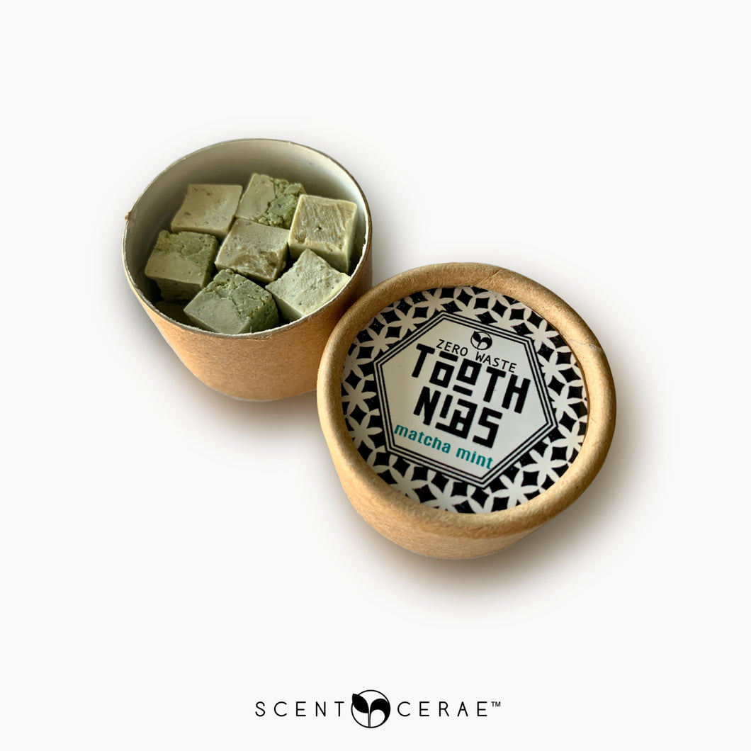 Tooth Nibs Solid Toothpaste - Matcha Mint